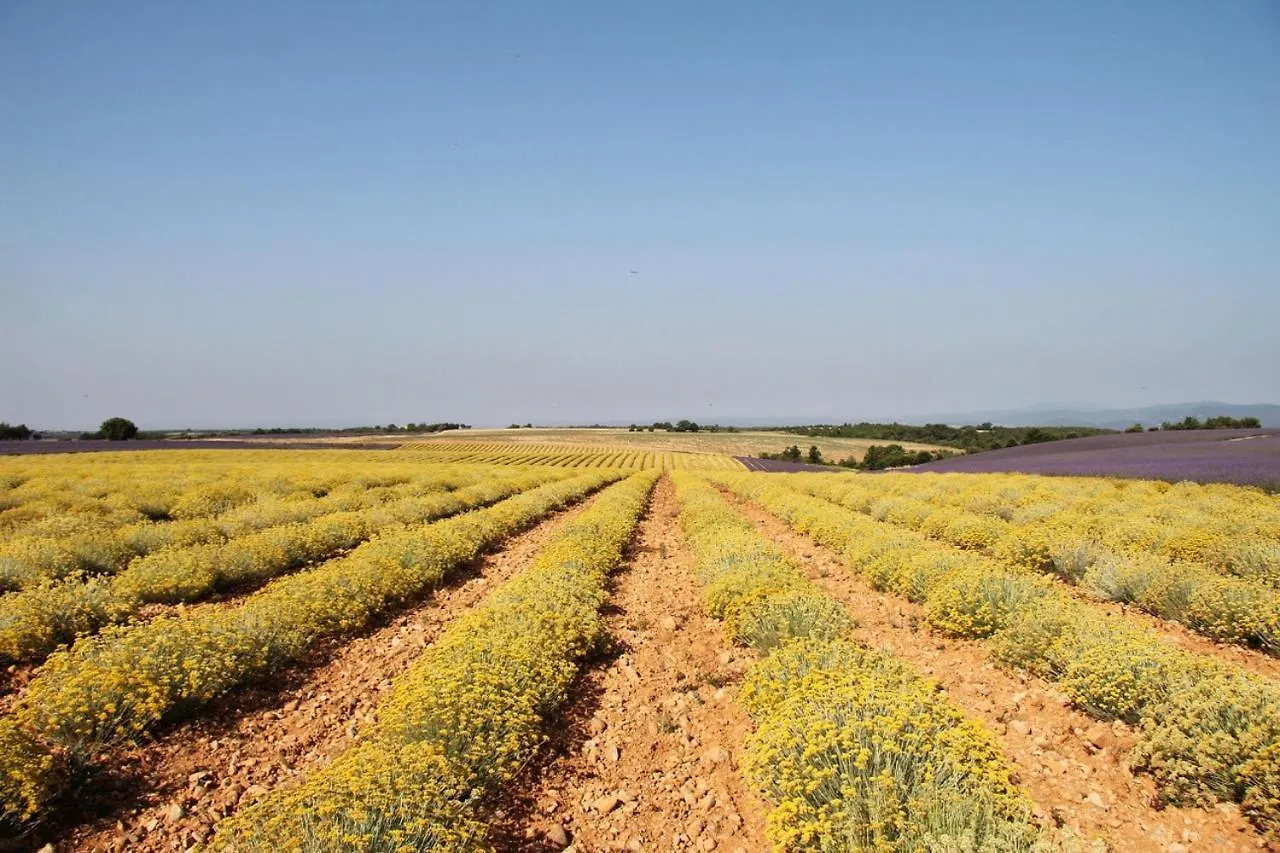 Ferienhaus Villa La Provencale Valensole